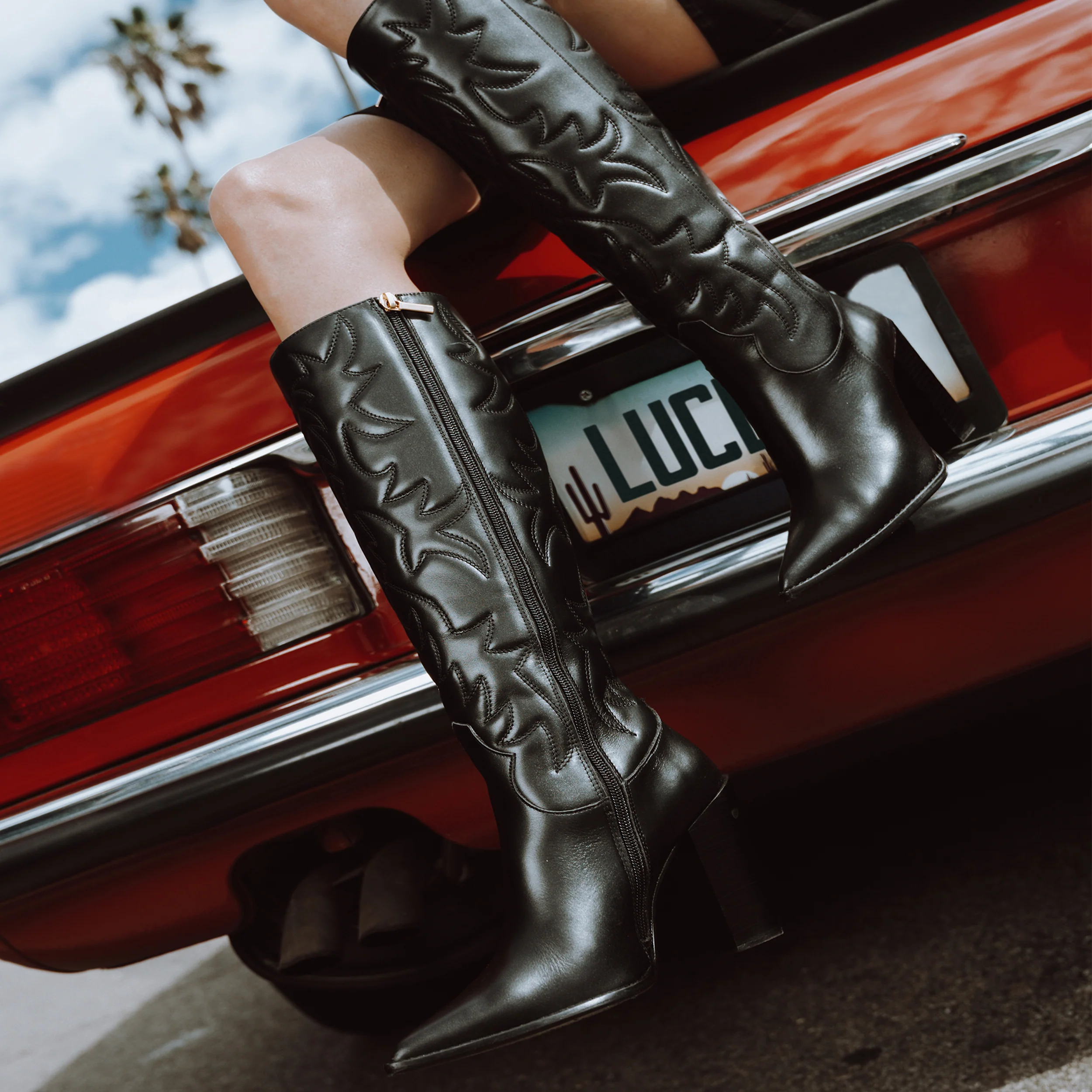 THE AMERICANA - Image 6