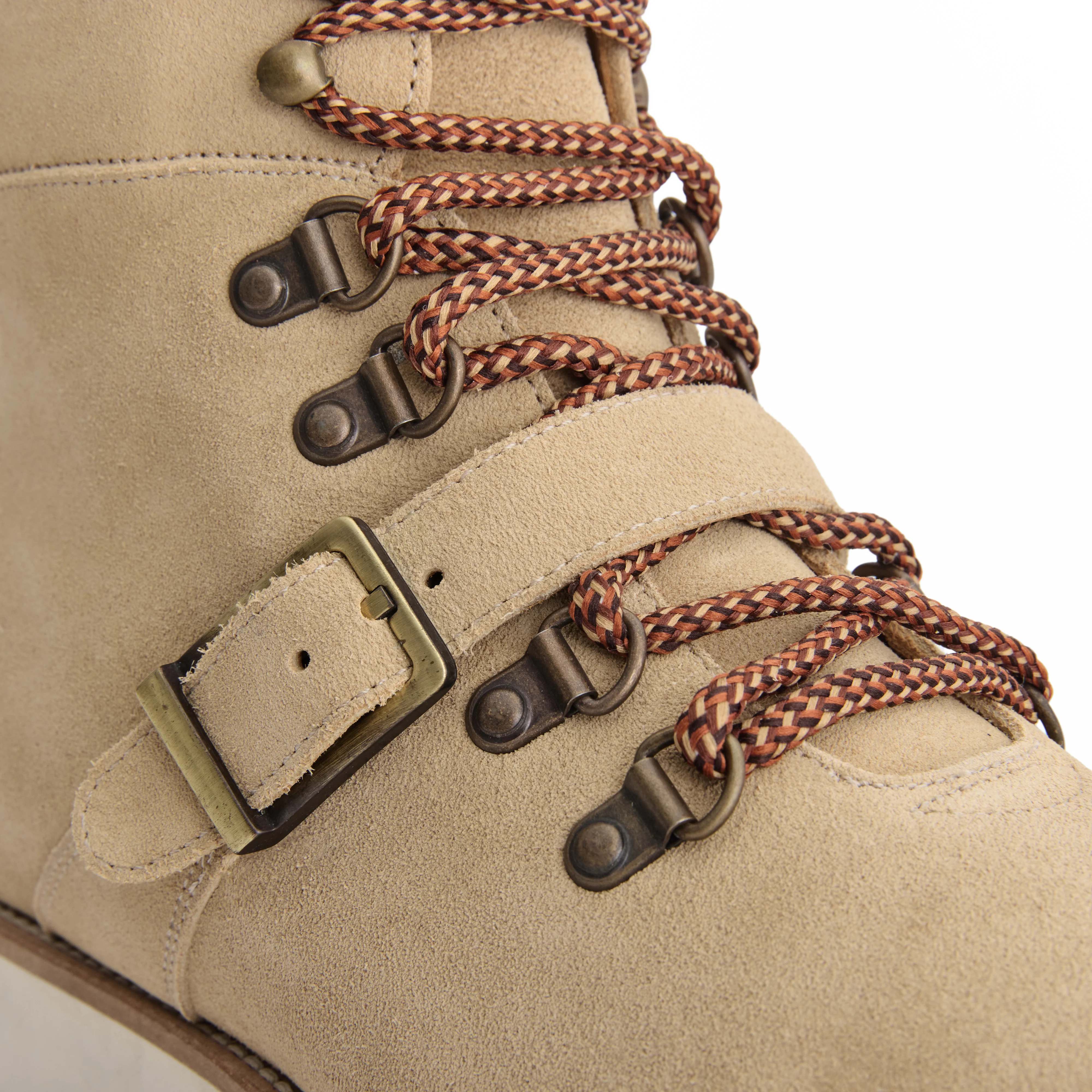 THE GRIFFITH - Image 5