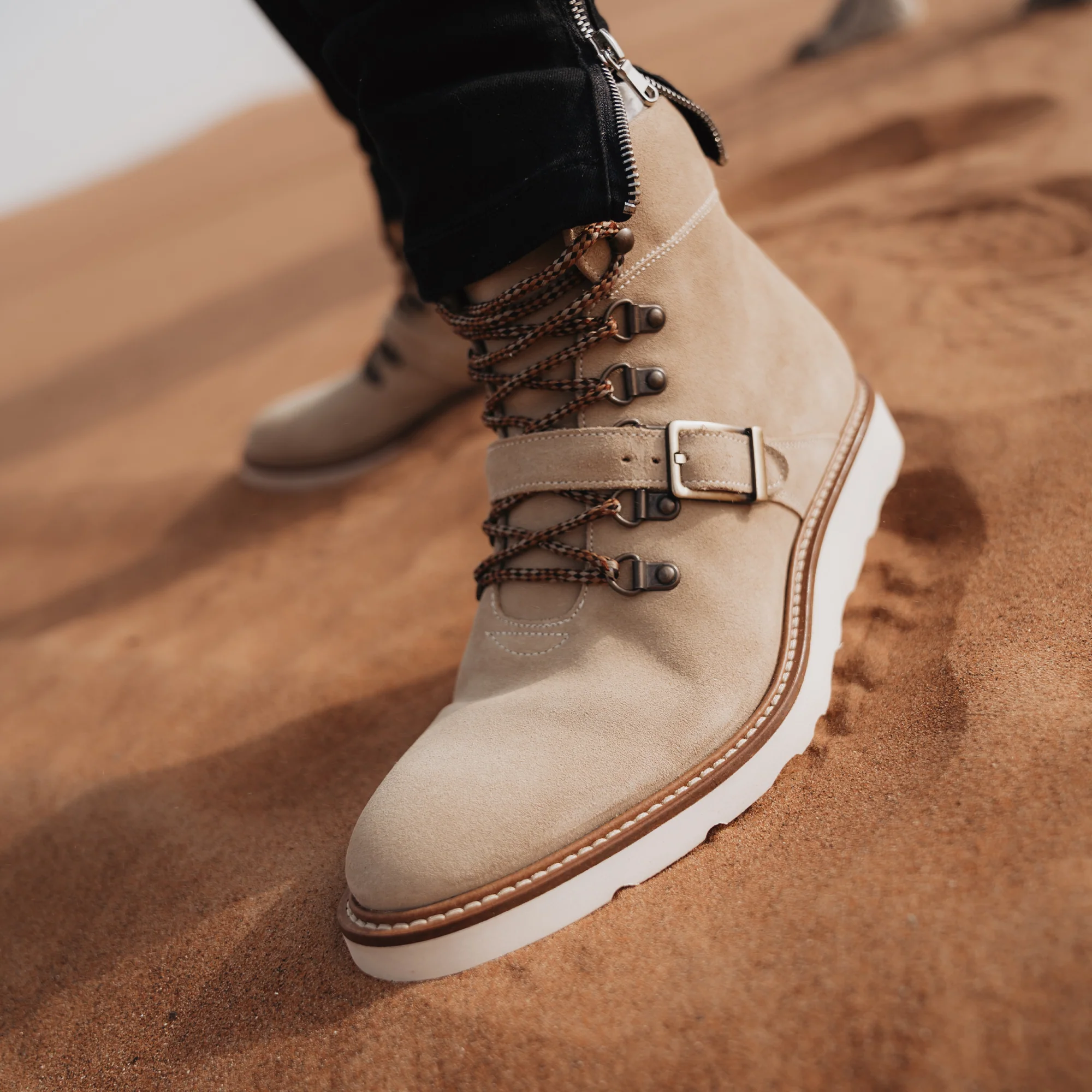 THE GRIFFITH - Image 6