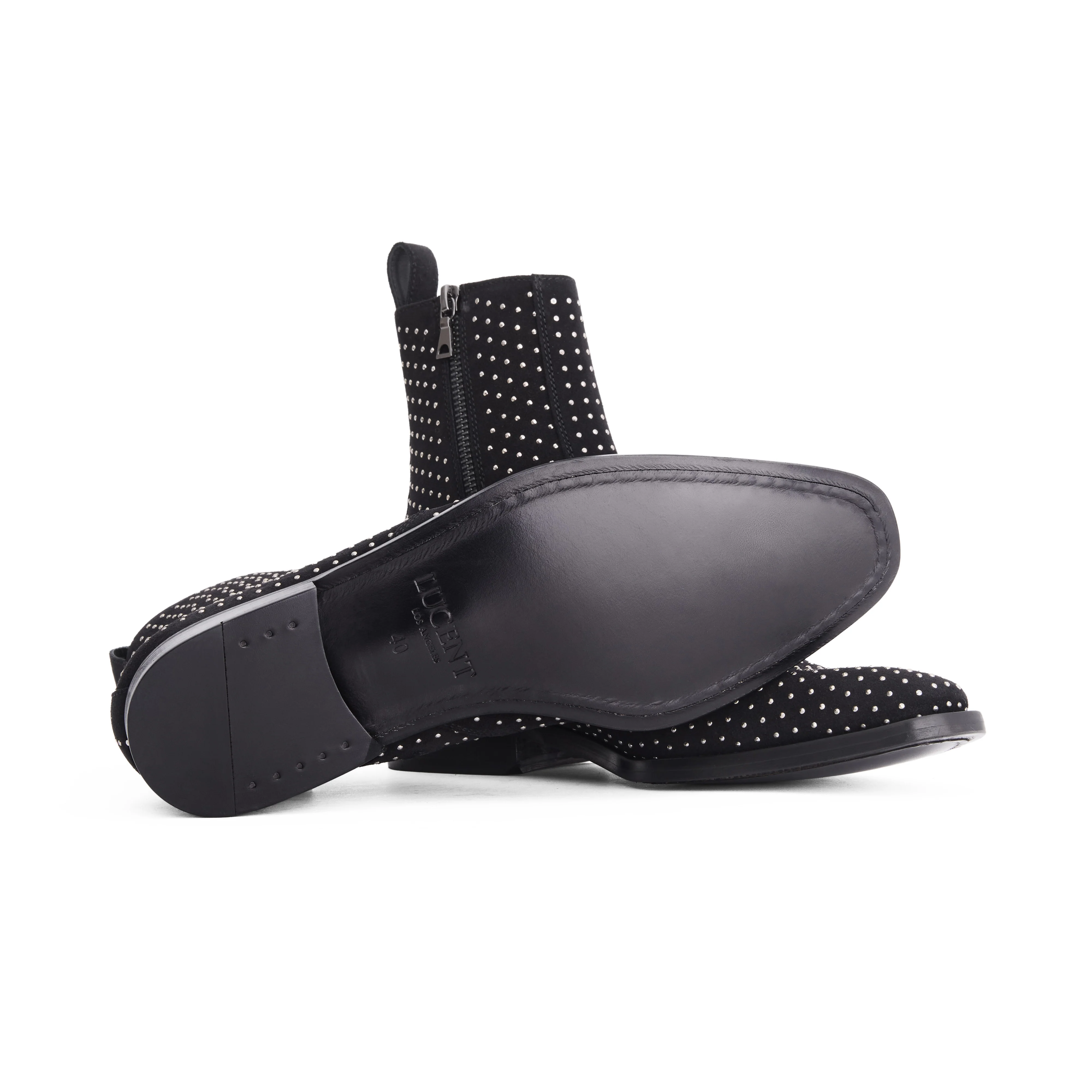 THE HOLLYWOOD - Image 3